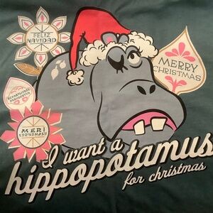 Disney Christmas shirt